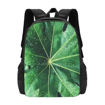 Дождливый день Сумка с рисунком листьев Студенческий рюкзак Растение Природа Лист Зеленый Капли дождевой воды Тропический  4