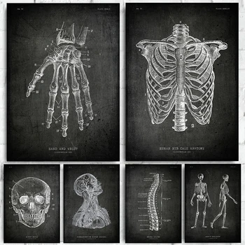Художественное произведение по анатомии человека, Медицинская настенная картина, Скелет, орган, Мышечная система, Винтажный плакат, холст, краска для художественного декора дома, комнаты  4